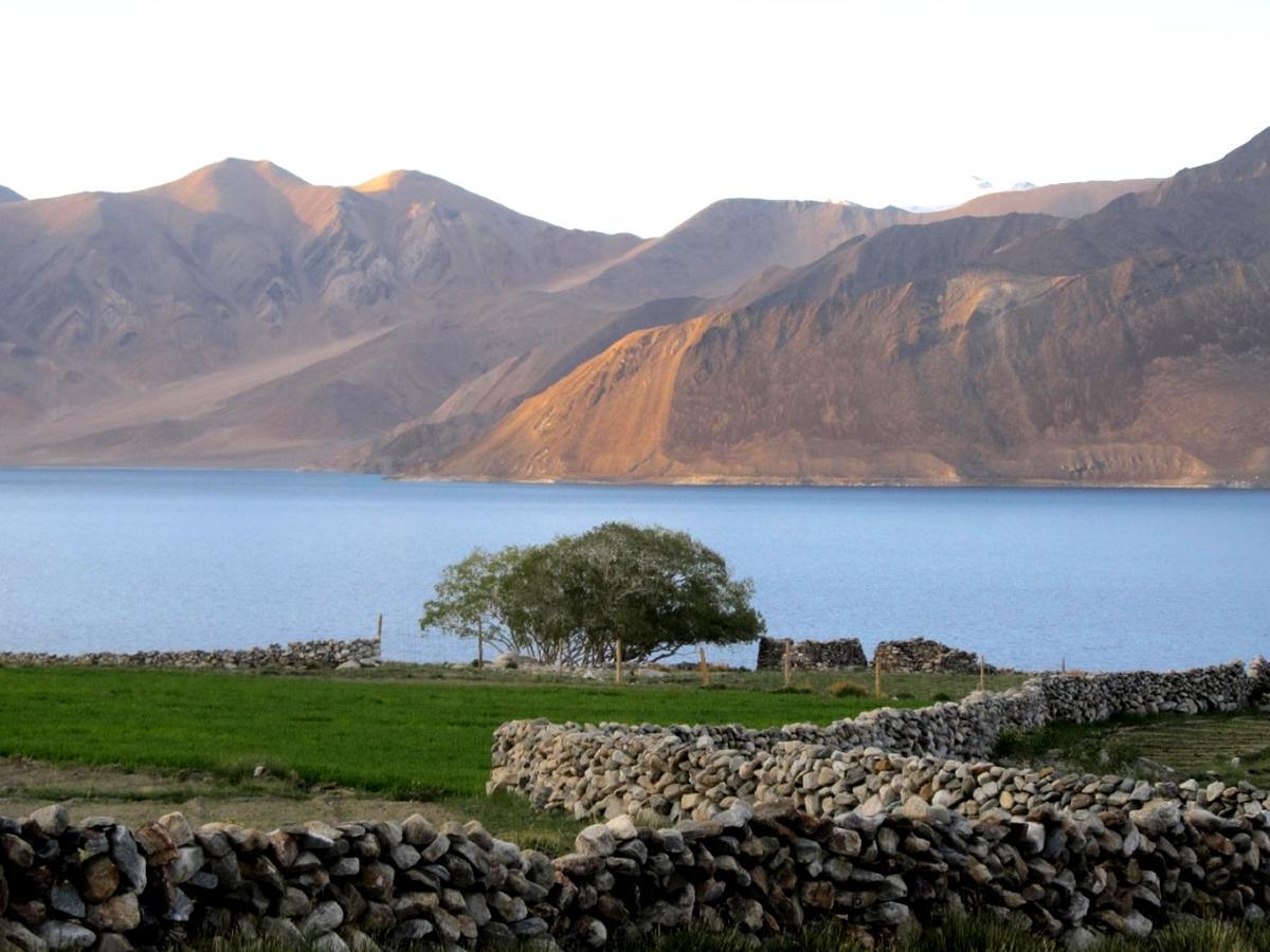Spangmik Pangong Delight Camps And Cottages מראה חיצוני תמונה